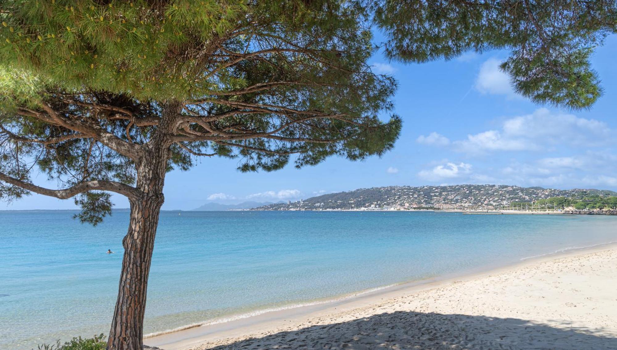 Les 15 Pins & La Mer -Your Green Getaway Near Sea & Beach 昂蒂布 外观 照片