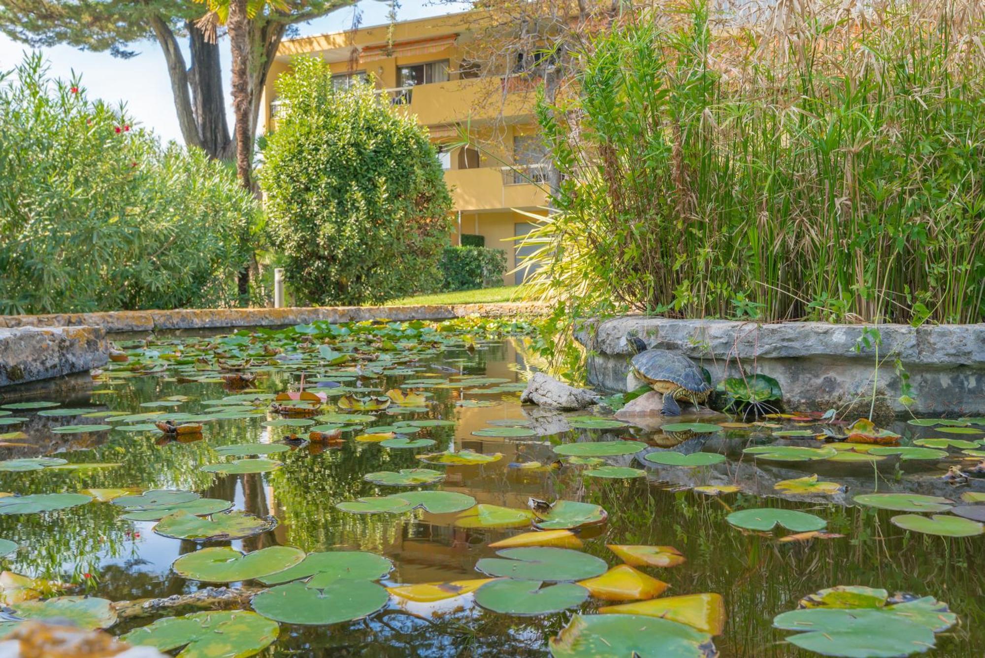 Les 15 Pins & La Mer -Your Green Getaway Near Sea & Beach 昂蒂布 外观 照片