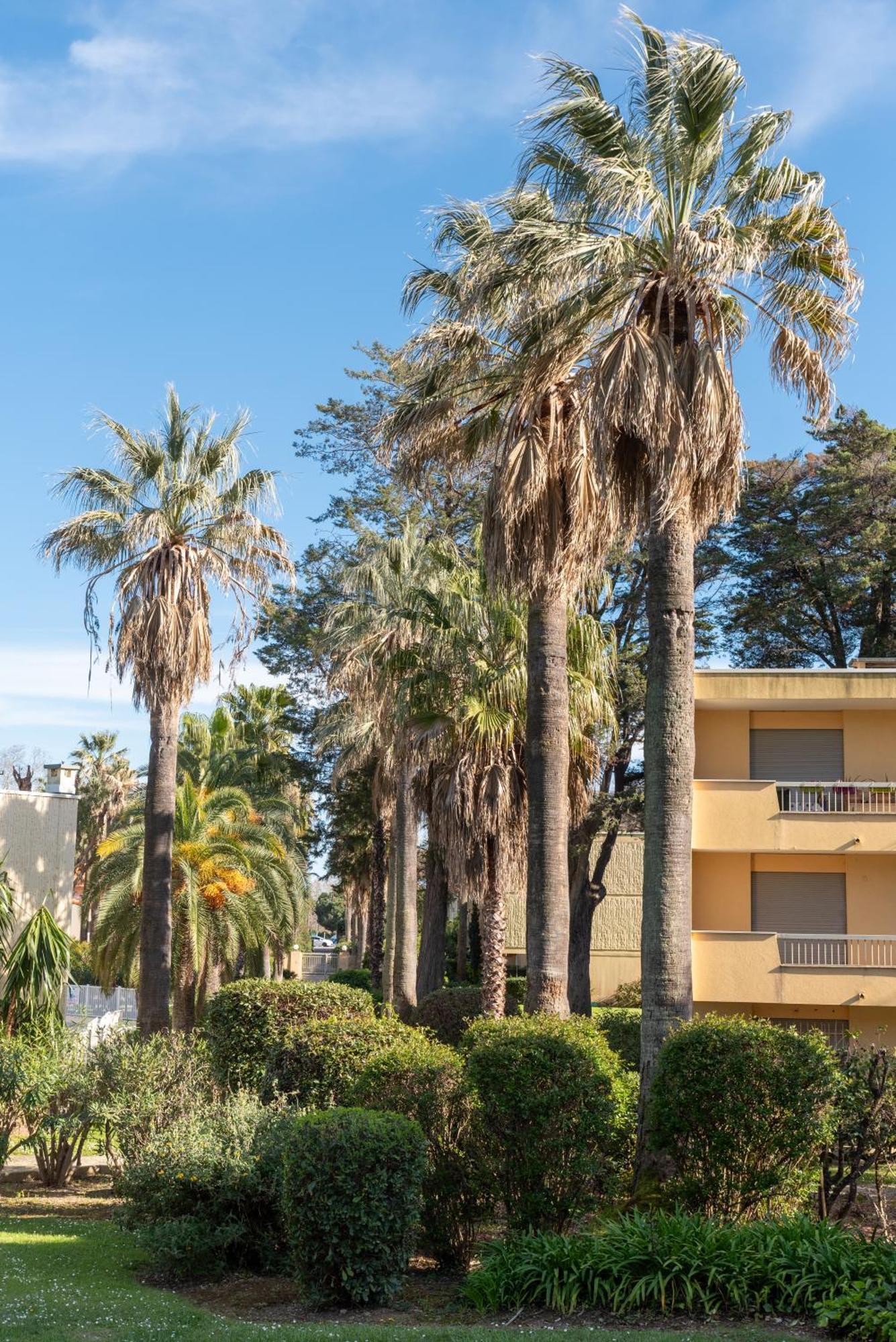 Les 15 Pins & La Mer -Your Green Getaway Near Sea & Beach 昂蒂布 外观 照片